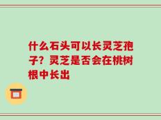 什么石头可以长灵芝孢子？灵芝是否会在桃树根中长出