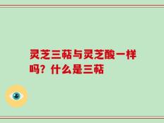 灵芝三萜与灵芝酸一样吗？什么是三萜