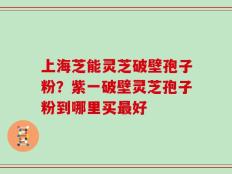 上海芝能灵芝破壁孢子粉？紫一破壁灵芝孢子粉到哪里买最好