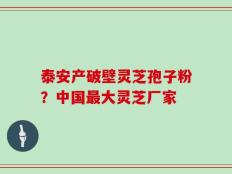 泰安产破壁灵芝孢子粉？中国最大灵芝厂家