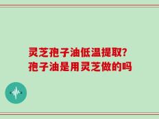 灵芝孢子油低温提取？孢子油是用灵芝做的吗