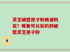 灵芝破壁孢子粉杨浦购买？哪里可以买的到破壁灵芝孢子粉