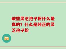 破壁灵芝孢子粉什么是真的？什么是纯正的灵芝孢子粉