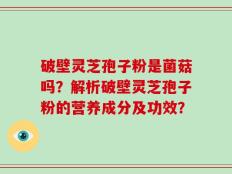 破壁灵芝孢子粉是菌菇吗？解析破壁灵芝孢子粉的营养成分及功效？