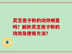 灵芝孢子粉的功效明显吗？解析灵芝孢子粉的功效及使用方法？