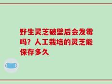 野生灵芝破壁后会发霉吗？人工栽培的灵芝能保存多久