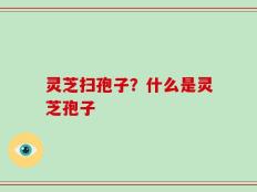 灵芝扫孢子？什么是灵芝孢子