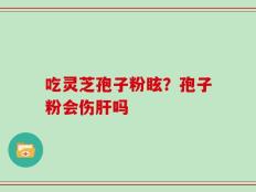 吃灵芝孢子粉眩？孢子粉会伤肝吗