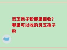 灵芝孢子粉那里回收？哪里可以收购灵芝孢子粉
