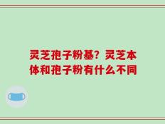 灵芝孢子粉基？灵芝本体和孢子粉有什么不同