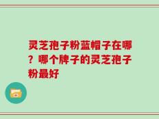 灵芝孢子粉蓝帽子在哪？哪个牌子的灵芝孢子粉最好