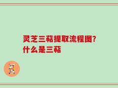 灵芝三萜提取流程图？什么是三萜