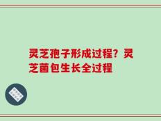 灵芝孢子形成过程？灵芝菌包生长全过程