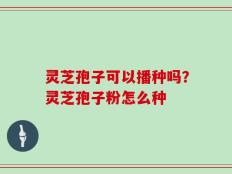 灵芝孢子可以播种吗？灵芝孢子粉怎么种