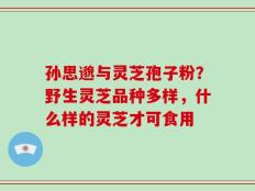 孙思邈与灵芝孢子粉？野生灵芝品种多样，什么样的灵芝才可食用
