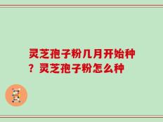 灵芝孢子粉几月开始种？灵芝孢子粉怎么种