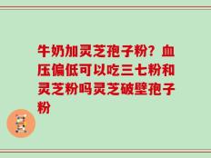 牛奶加灵芝孢子粉？血压偏低可以吃三七粉和灵芝粉吗灵芝破壁孢子粉