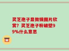 灵芝孢子显微镜图片欣赏？灵芝孢子粉破壁99%什么意思