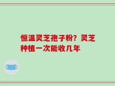 恒温灵芝孢子粉？灵芝种植一次能收几年