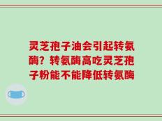 灵芝孢子油会引起转氨酶？转氨酶高吃灵芝孢子粉能不能降低转氨酶