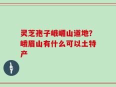 灵芝孢子峨嵋山道地？峨眉山有什么可以土特产