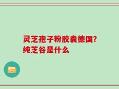 灵芝孢子粉胶囊德国？纯芝谷是什么