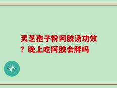 灵芝孢子粉阿胶汤功效？晚上吃阿胶会胖吗