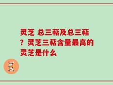 灵芝 总三萜及总三萜？灵芝三萜含量最高的灵芝是什么