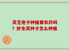 灵芝孢子种植要农药吗？野生灵种子怎么种植
