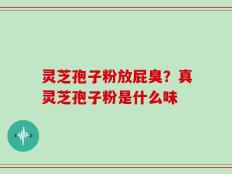 灵芝孢子粉放屁臭？真灵芝孢子粉是什么味