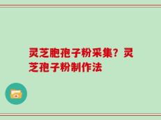 灵芝胞孢子粉采集？灵芝孢子粉制作法