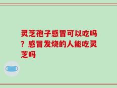 灵芝孢子感冒可以吃吗？感冒发烧的人能吃灵芝吗