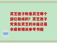 灵芝孢子粉是灵芝哪个部位做成的？灵芝孢子究竟在灵芝的伞面还是伞底有相关参考书籍