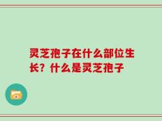 灵芝孢子在什么部位生长？什么是灵芝孢子