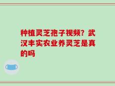 种植灵芝孢子视频？武汉丰实农业养灵芝是真的吗