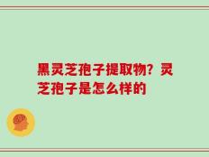 黑灵芝孢子提取物？灵芝孢子是怎么样的