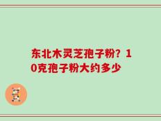 东北木灵芝孢子粉？10克孢子粉大约多少