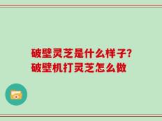 破壁灵芝是什么样子？破壁机打灵芝怎么做