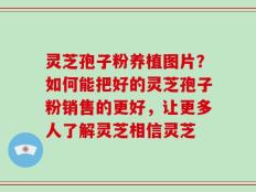 灵芝孢子粉养植图片？如何能把好的灵芝孢子粉销售的更好，让更多人了解灵芝相信灵芝