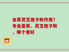 虫草灵芝孢子粉作用？冬虫夏草、灵芝孢子粉，哪个更好