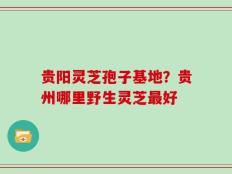 贵阳灵芝孢子基地？贵州哪里野生灵芝最好