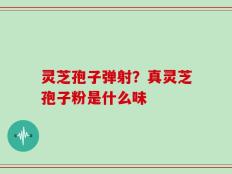 灵芝孢子弹射？真灵芝孢子粉是什么味