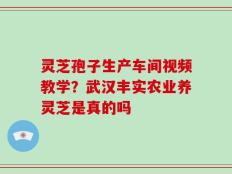 灵芝孢子生产车间视频教学？武汉丰实农业养灵芝是真的吗