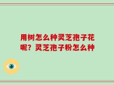 用树怎么种灵芝孢子花呢？灵芝孢子粉怎么种