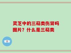 灵芝中的三萜类伤肾吗图片？什么是三萜类