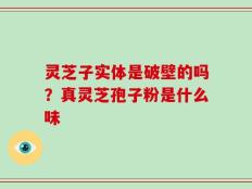 灵芝子实体是破壁的吗？真灵芝孢子粉是什么味