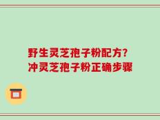 野生灵芝孢子粉配方？冲灵芝孢子粉正确步骤