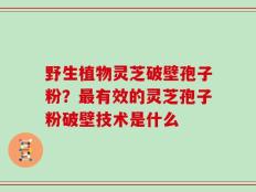 野生植物灵芝破壁孢子粉？最有效的灵芝孢子粉破壁技术是什么