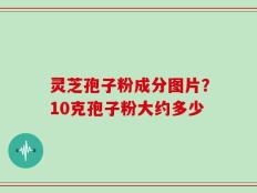 灵芝孢子粉成分图片？10克孢子粉大约多少