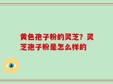 黄色孢子粉的灵芝？灵芝孢子粉是怎么样的